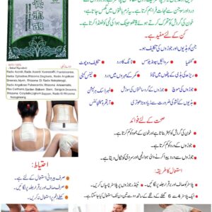 Green World Magic Detoxin Pad – Refresh & Revitalize